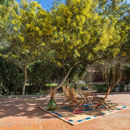 Vakantieboerderij Le Mimose *