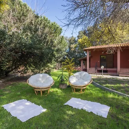 Le Mimose * 阿尔博里亚