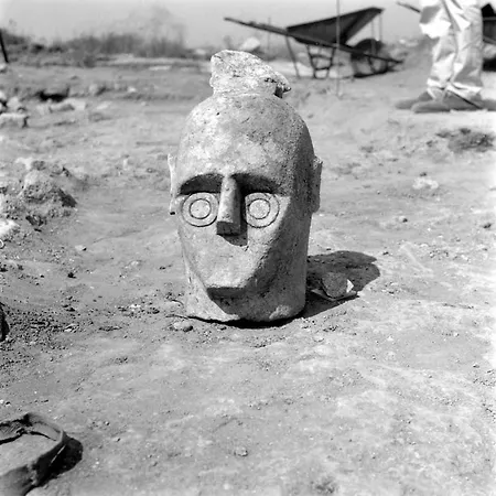 Le Mimose * 阿尔博里亚