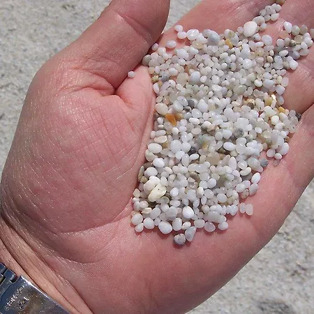 Le Mimose 农家乐 *