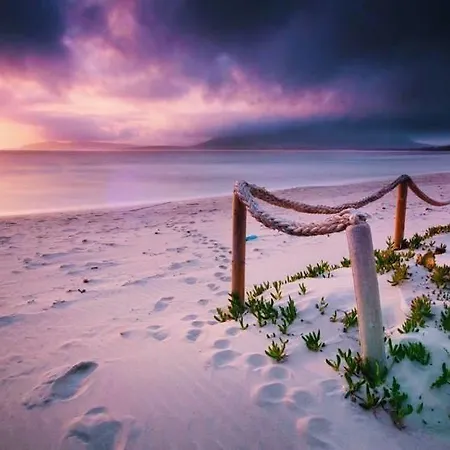 农家乐 Le Mimose *