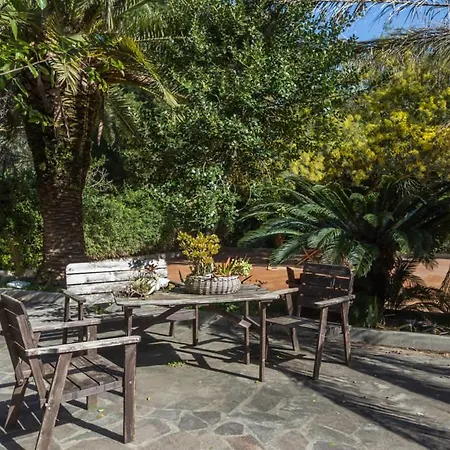 Farm stay Le Mimose Arborea