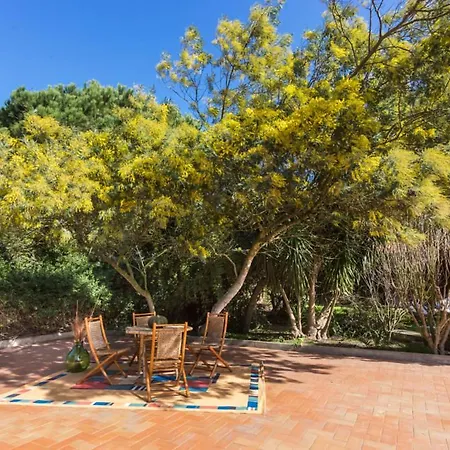 Farm stay Le Mimose Arborea
